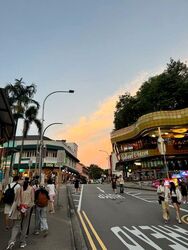 Holland Village Corner (D10), Retail #497864601